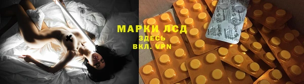 spice Баксан